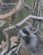 WILD LIFE HUNTER RUBBER SHARK BACKPACK