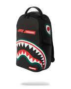 FORMULA 1 OFFICIAL RACE TEAM BACKPACK (DLXV)
