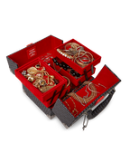 SPRAYGATTI REVV JEWELRY CASE