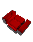 SPRAYGATTI REVV JEWELRY CASE