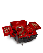 SPRAYGATTI REVV JEWELRY CASE