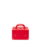 SOULJA BOY JEWELRY CASE