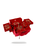 SOULJA BOY JEWELRY CASE