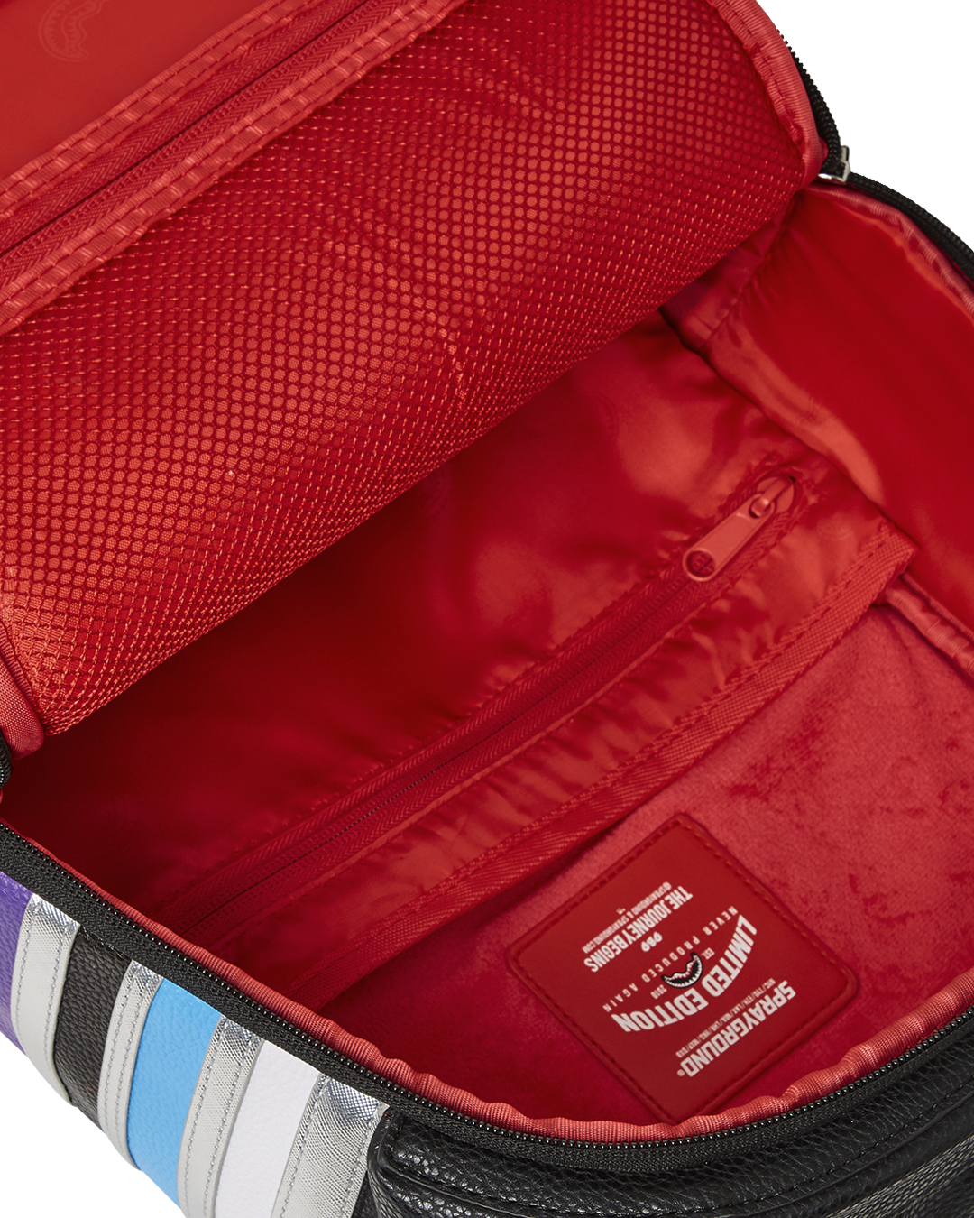 ARCHITECTURAL FACADE BACKPACK