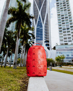 SUPER HOT FIRE DLX BACKPACK