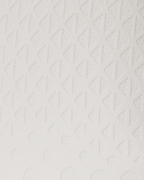 THE FUTURE PROXIMO DLXSV BACKPACK