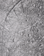 STEP INTO THE FUTURE - NASA COLLAB MOON SHARK 3D MOLDED