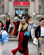 THE MET WILLIAM HANDBAG