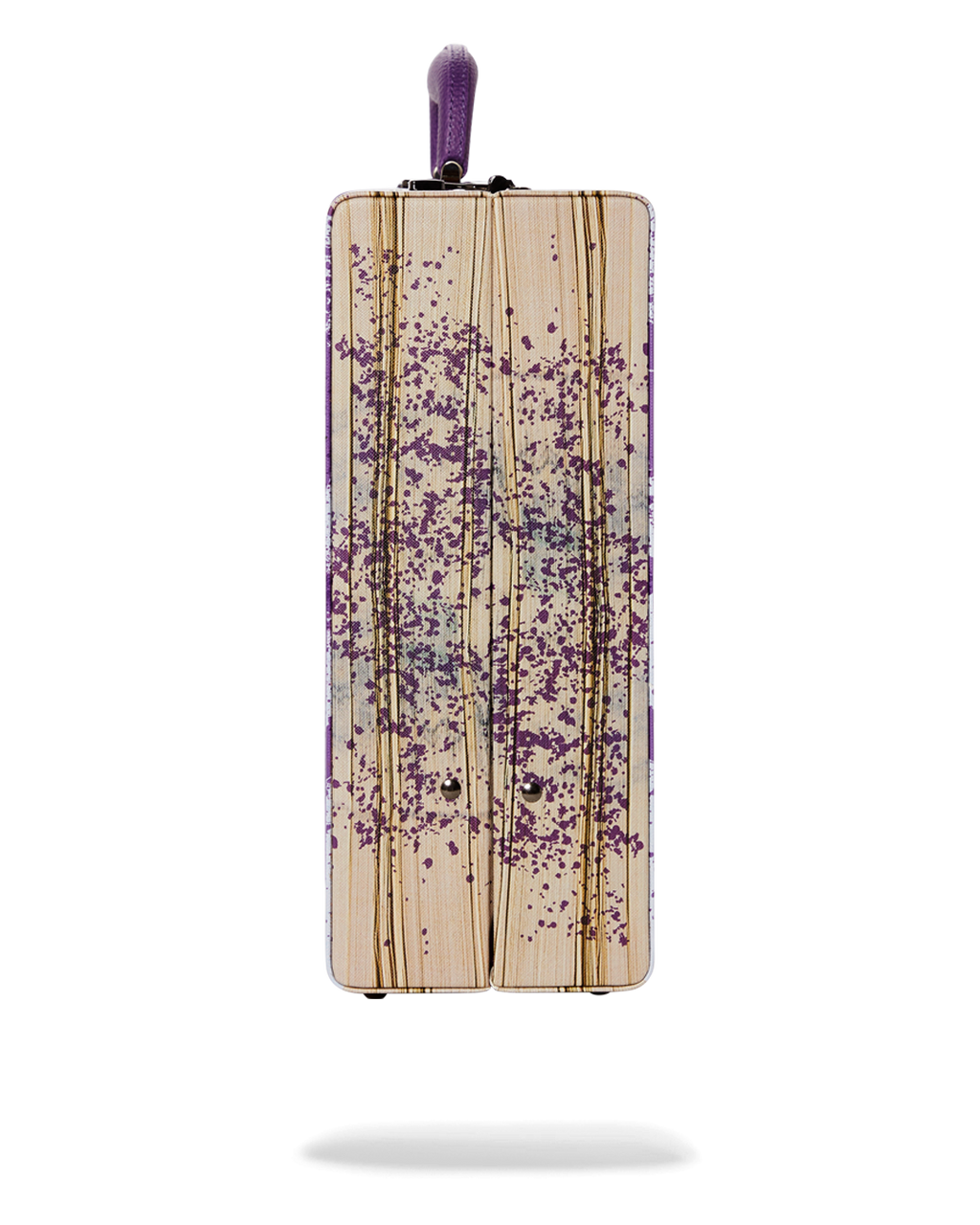 BILLIONS IN THE BANK BRIEFCASE