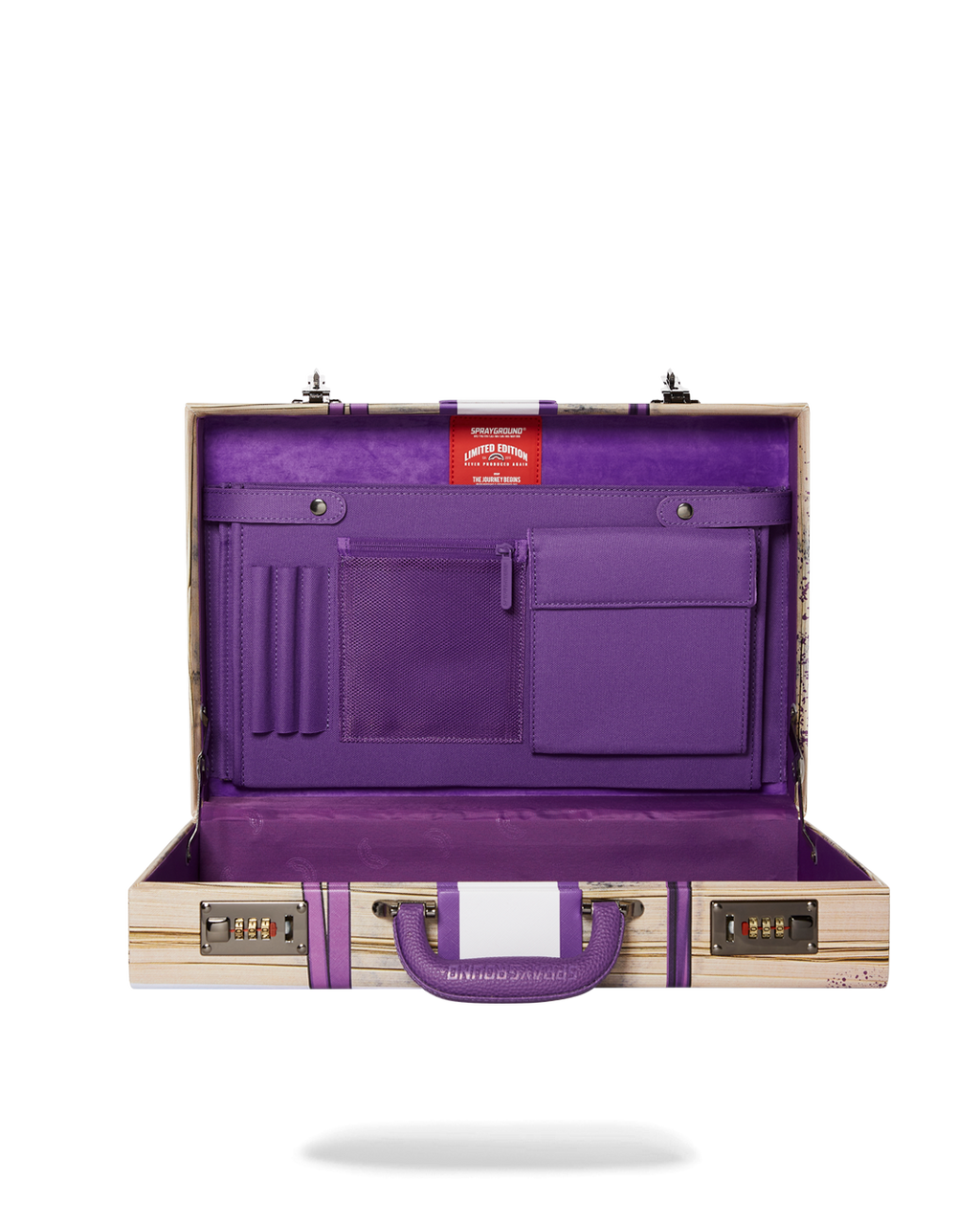 BILLIONS IN THE BANK BRIEFCASE