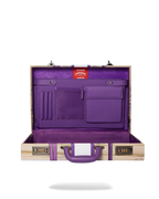 BILLIONS IN THE BANK BRIEFCASE
