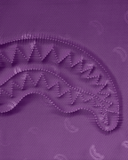 BILLIONS IN THE BANK BRIEFCASE