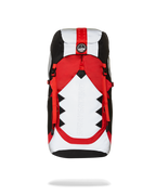 SKY HIGH SEEKERS ARCTIC GLOBAL TREK CAMPER BACKPACK