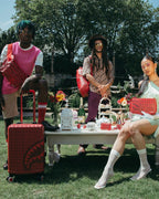 VENI VIDI VICI LUGGAGE