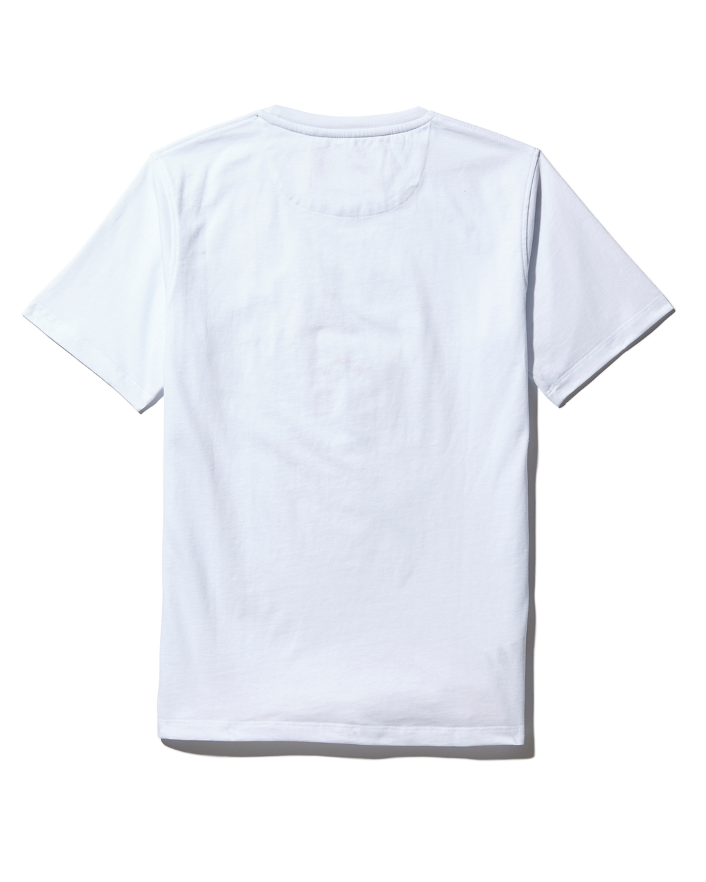 YOUTH ANATOMY BEAR T-SHIRT WHITE