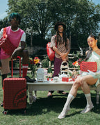 VENI VIDI VICI WALLET