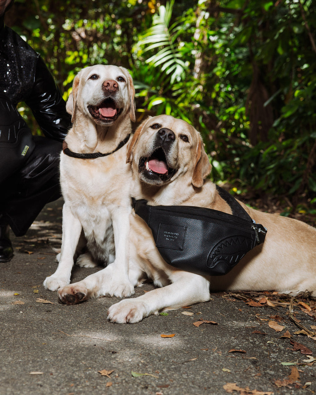 THE HQ SAVVY CROSSBODY