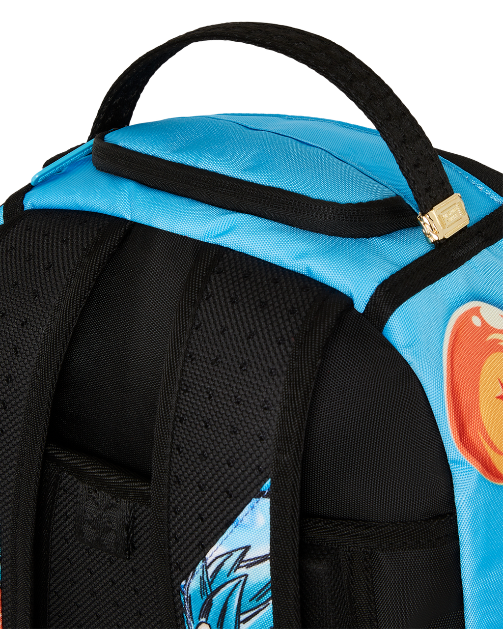 DRAGON BALL Z SUPER SAIYAN BLUE GOKU AND VEGETA