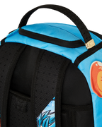 DRAGON BALL Z SUPER SAIYAN BLUE GOKU AND VEGETA