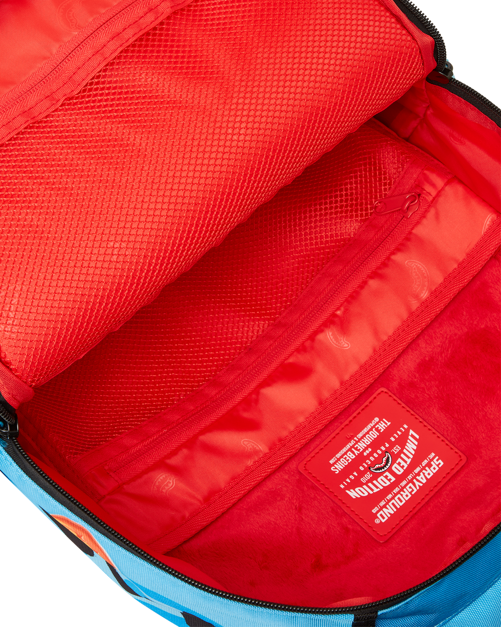 DRAGON BALL Z SUPER SAIYAN BLUE GOKU AND VEGETA