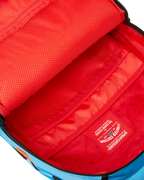 DRAGON BALL Z SUPER SAIYAN BLUE GOKU AND VEGETA