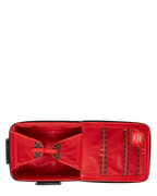 CHECKPOINT ROYALE CARRY-ON LUGGAGE