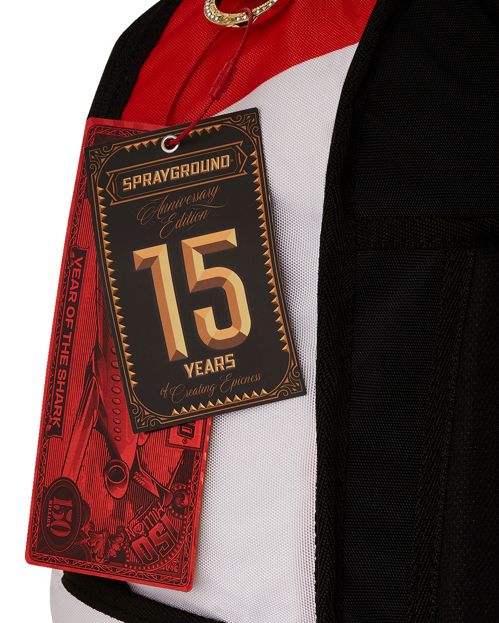 THE SCROLL OF 15 YEARS DLXV BACKPACK (SUPER RARE)