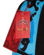 DRAGON BALL Z SUPER SAIYAN BLUE GOKU AND VEGETA