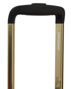 A.I. AFRICAN INTELLIGENCE ELEGANT ENERGY SHARKITECTURE FULL SIZE LUGGAGE - SANDFLOWER COLLAB