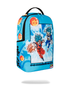 DRAGON BALL Z SUPER SAIYAN BLUE GOKU AND VEGETA