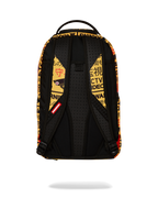 CCTV SECTOR 404 BACKPACK