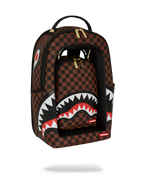 BAG IN A BAG BACKPACK