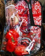 CLEAR BACKPACK - DIABLO GALLERY