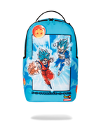 DRAGON BALL Z SUPER SAIYAN BLUE GOKU AND VEGETA