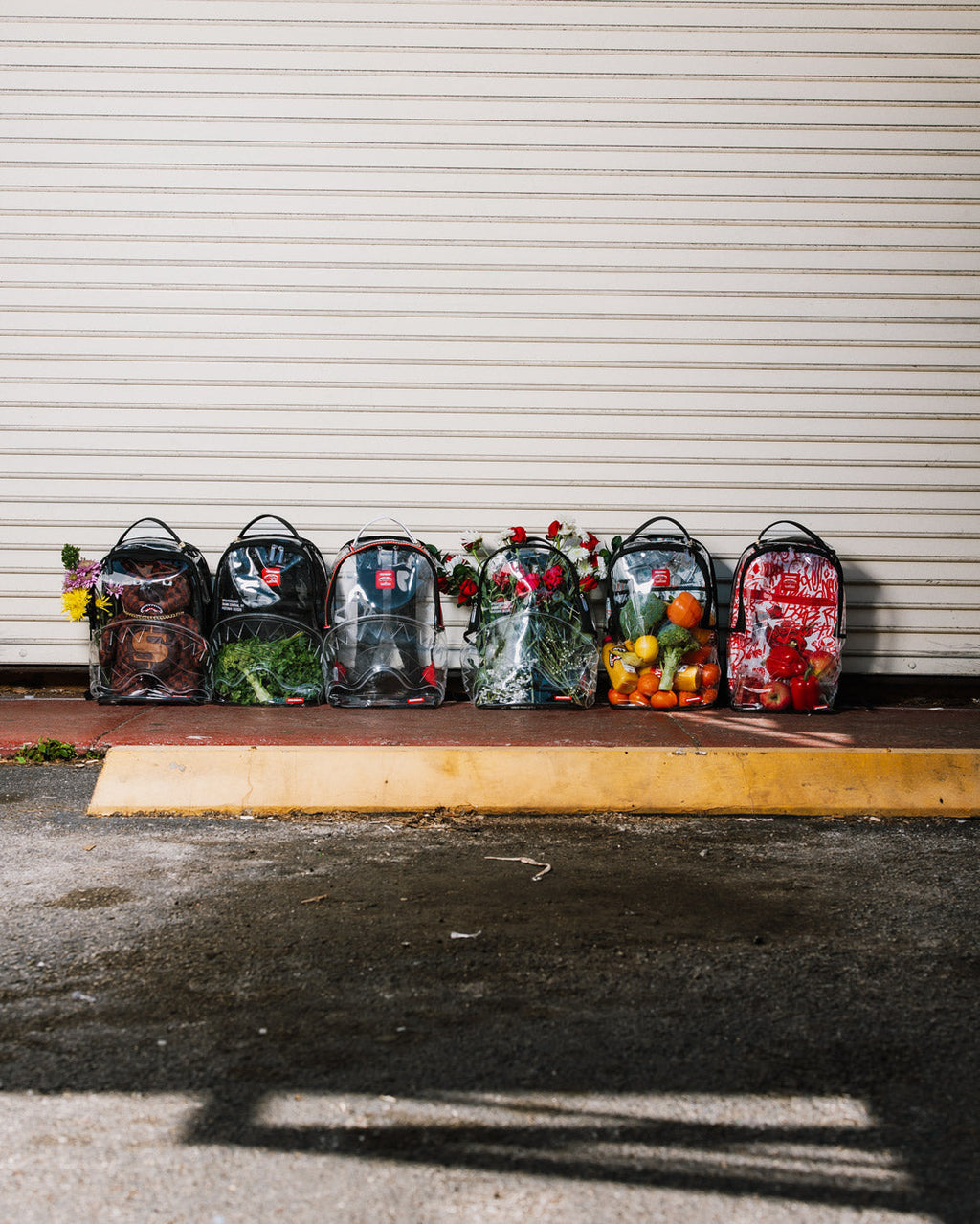 CLEAR BACKPACK - SHARK CENTRAL