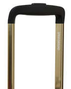 A.I. AFRICAN INTELLIGENCE ELEGANT ENERGY SHARKITECTURE CARRY-ON LUGGAGE - SANDFLOWER COLLAB