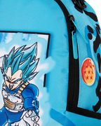 DRAGON BALL Z SUPER SAIYAN BLUE GOKU AND VEGETA